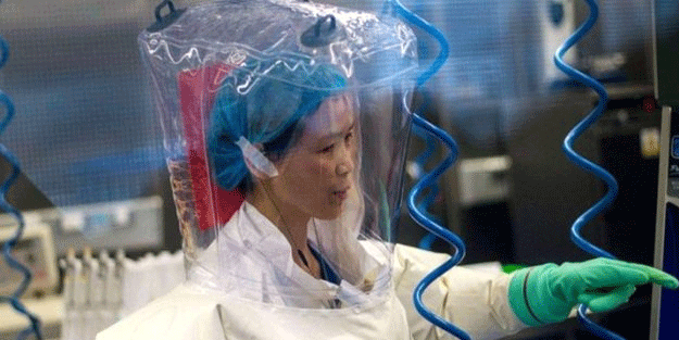 "Koronavirüs, buz dağının yalnızca görünen yüzü" diyen 'yarasa kadın' vahşi hayvanları işaret etti