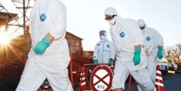 Koronavirüs derken... Bir salgınla daha sarsıldılar!