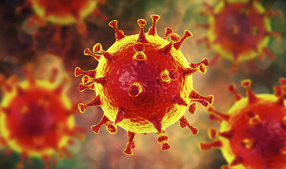 Koronavirüs gıda yoluyla bulaşır mı?