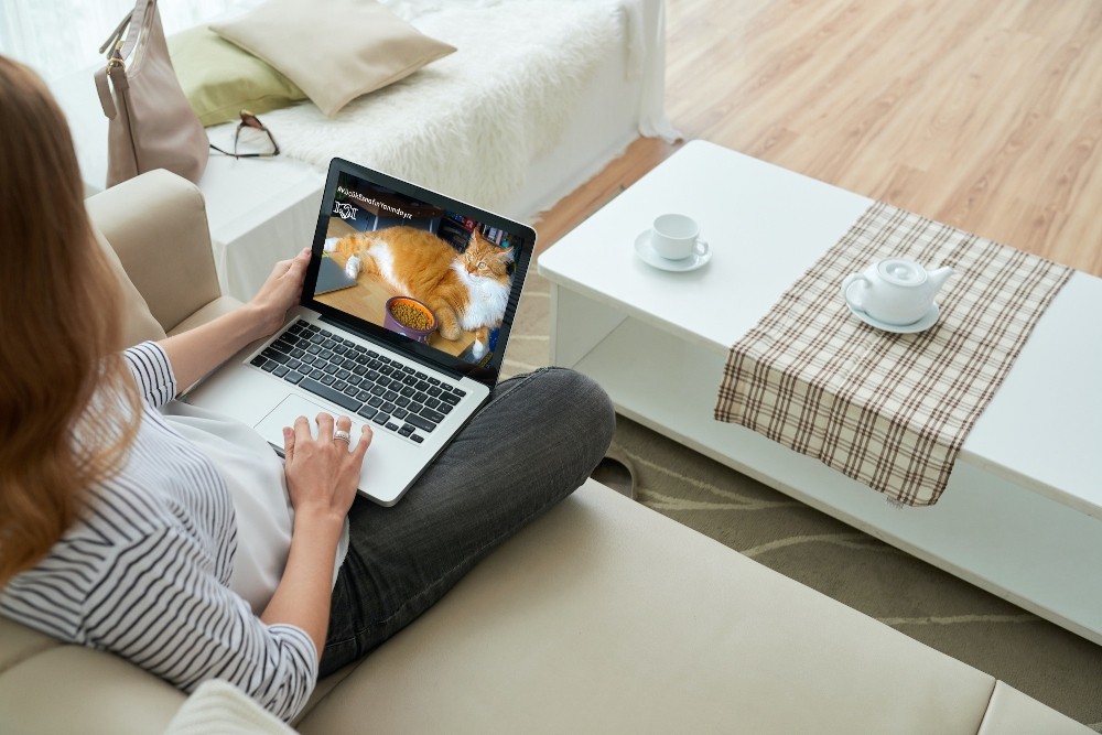 Koronavirüs günlerinde online alışverişte kutu oyunlarında satış patlaması yaşandı 