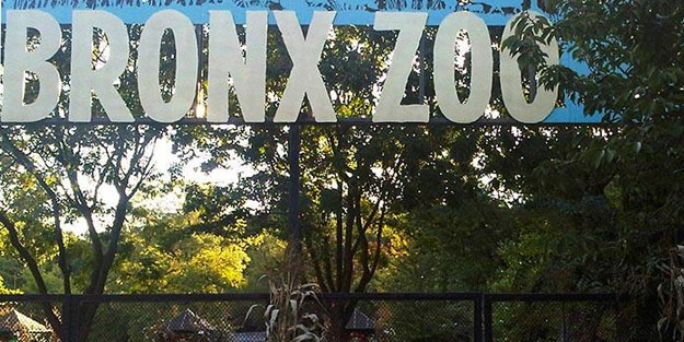 Koronavirüs kabusunda dehşete düşüren gelişme!