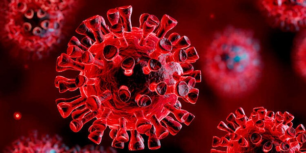 Koronavirüs o ülkede hükümeti düşürdü! Topluca istifa ettiler