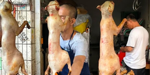 Koronavirüs sonrası harekete geçildi! Çin'den flaş karar