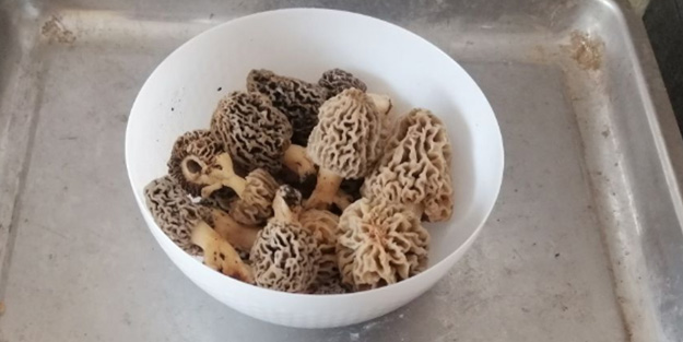 Koronavirüs sonrası yarım saatte tükeniyor! Kilosu 130 lira