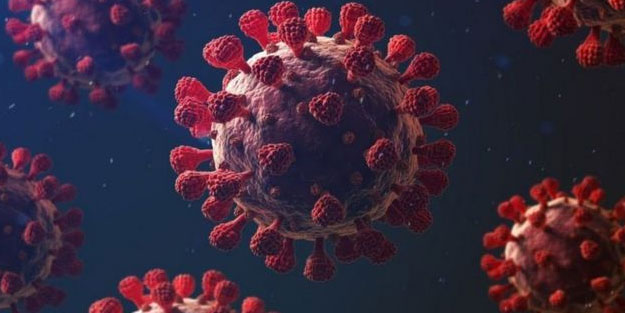 Koronavirüs vaka tablosu paylaşıldı! Vakalar artıyor