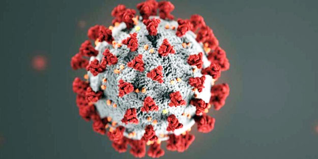 Koronavirüse ikinci kez yakalandılar