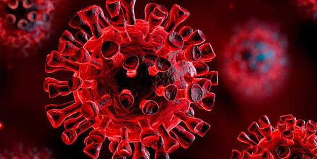 Koronavirüse karşı müjde geldi