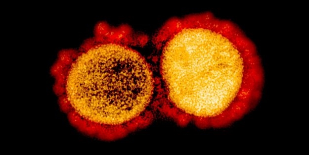 Koronavirüste korkulan oldu! DSÖ'den acil açıklama geldi