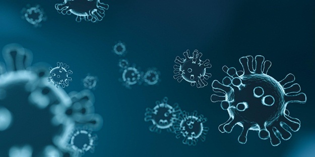 Koronavirüste sevindiren haber! DSÖ duyurdu