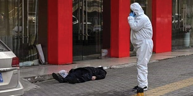 Koronavirüsü bulaştıran havyan belli oldu mu? Koronavirüs hangi hayvandan bulaşır? İşte detaylar