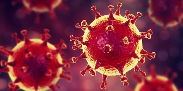 Koronavirüsün ardından uluslararası topluma bir çağrı daha