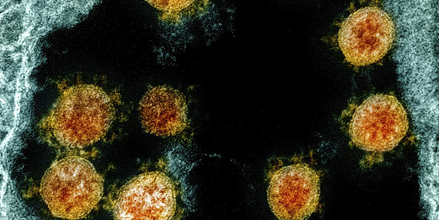 Koronavirüsün bulaşmadığı 10 ülke açıklandı