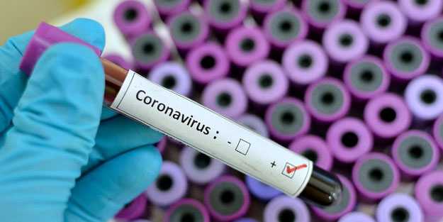 Koronavirüsün gen analizini yapabilen uygulama geliştirildi