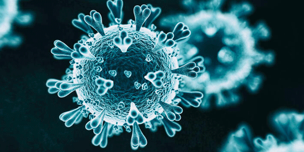 Koronavirüsün yeni mutasyonu bir ülkede daha görüldü