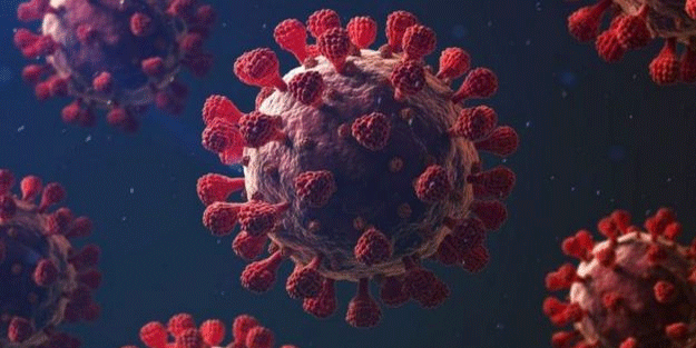 Koronavirüsün yeni türüyle ilgili korkutan açıklama