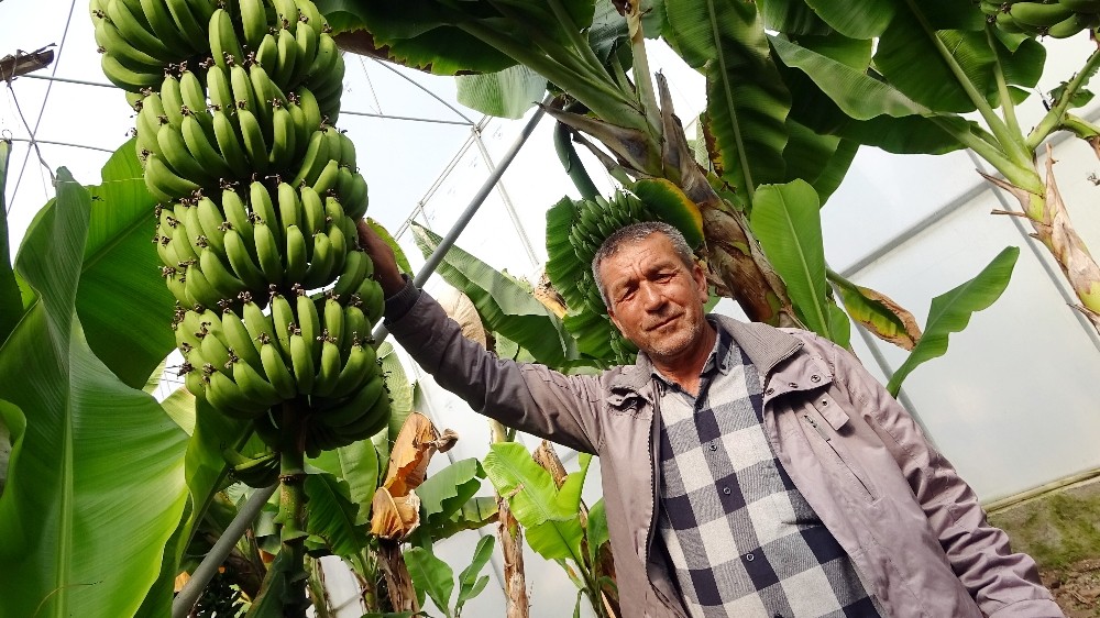 Korona’ya inat Türk çiftçisi üretiyor 