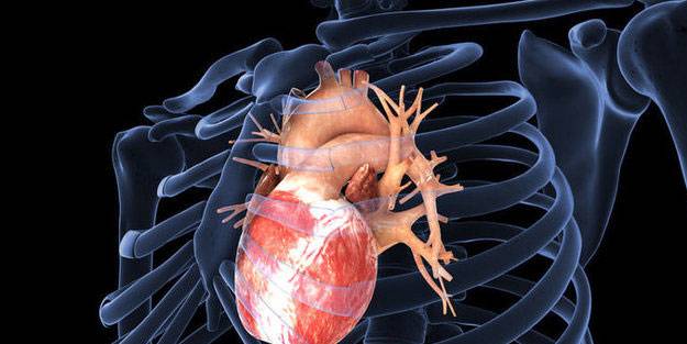 Koroner arter hastalığı nedir? Koroner arter hastalığı belirtileri neler?