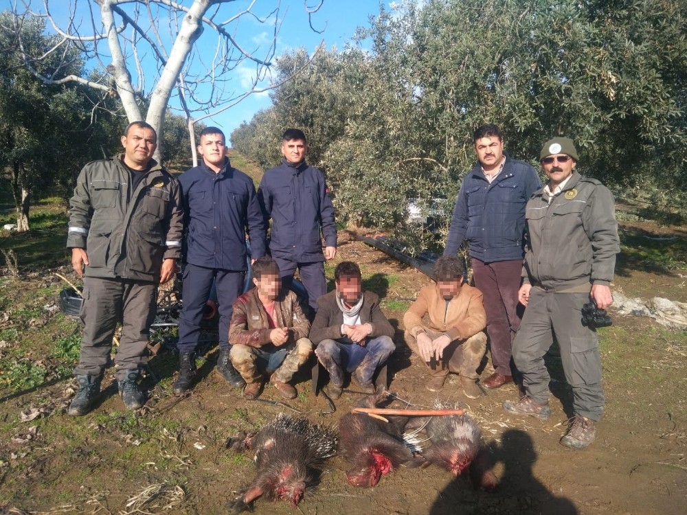 Koruma altındaki oklu kirpiyi avlayanlara rekor ceza 