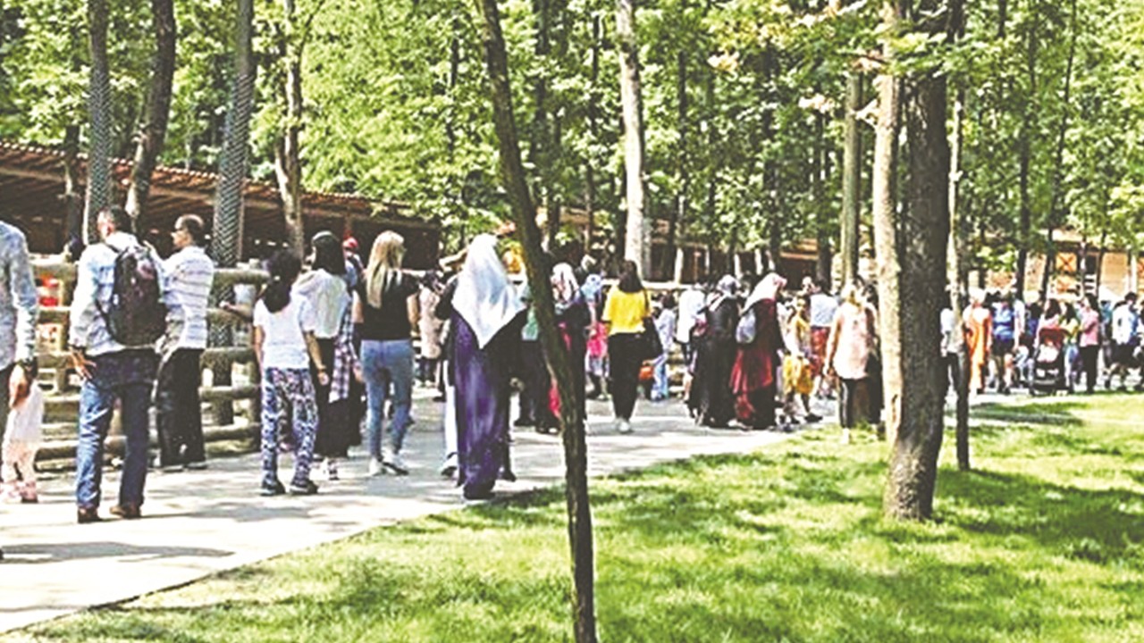 Korunan alanlarda son on yılın ziyaretçi rekoru