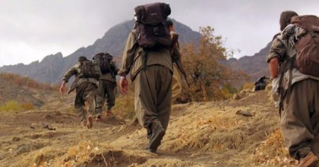 Köşeye sıkışan PKK çözülüyor! 1 terörist teslim oldu