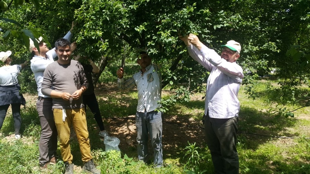 Köşk Ziraat Odası, çiftçilerin gününü tarlada kutladı 