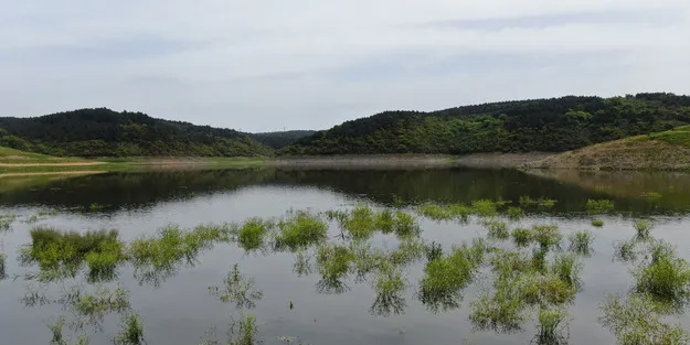 Kötü haber: İstanbul barajlarında doluluk oranı alarm veriyor! O il halkı şaşkın!