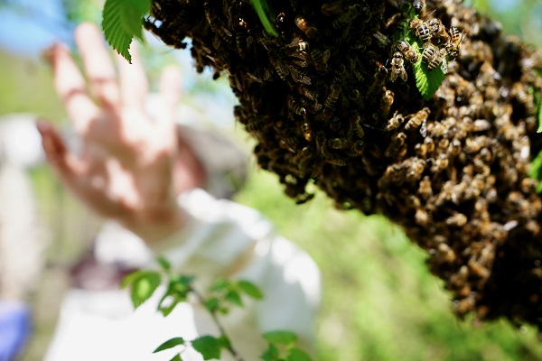 Kovan sayısı 5’ten 65’e çıktı! Üst düzey yöneticiliği bırakıp İstanbul’u terk etti