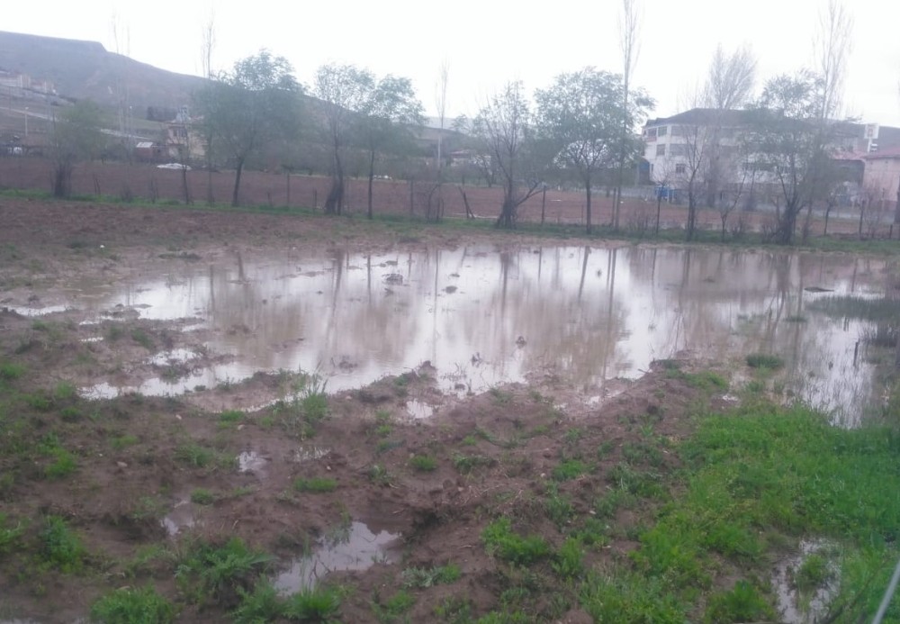 Kovancılar’da yağış, ekinlere zarar verdi 