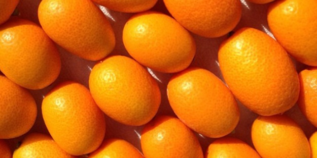 Kovid-19 sürecinde talep arttı! Bağışıklık sistemine büyük faydası var