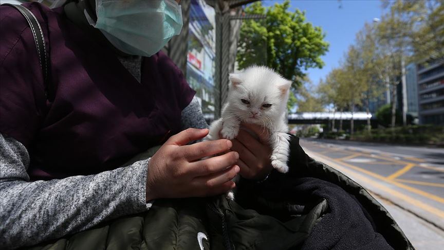 Kovid-19 tanısı alanlar evcil hayvanlarıyla temastan kaçınmalı