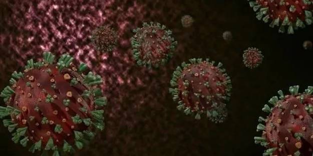 Kovid-19'la ilgili yeni keşif! Şiddetli geçiren insanları...