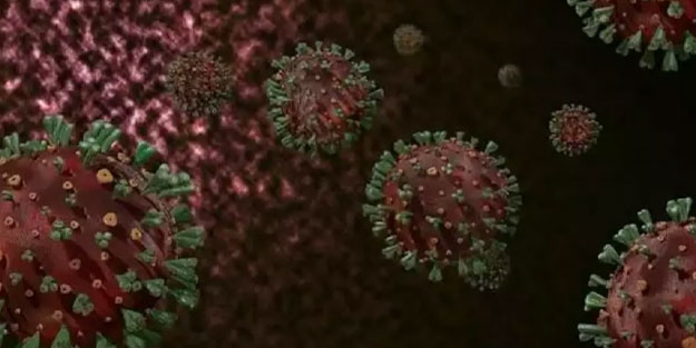 Kovid-19'un yeni varyantı bir ülkeye daha sıçradı