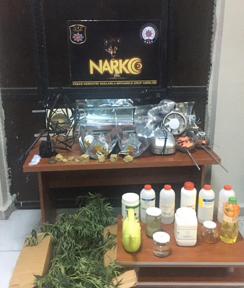 Köy evinde 40 kök kenevir ele geçirildi, şüpheli şahıs tutuklandı 