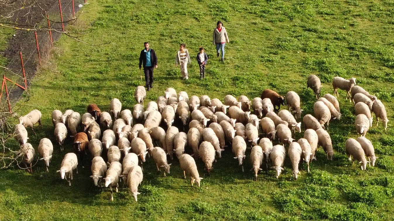 Köy hayatına 2 koyunla başladılar şimdi ise çiftlik sahibi oldular!