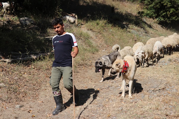 Köy hayatını tercih etti! Her şeyi elinin tersiyle itti