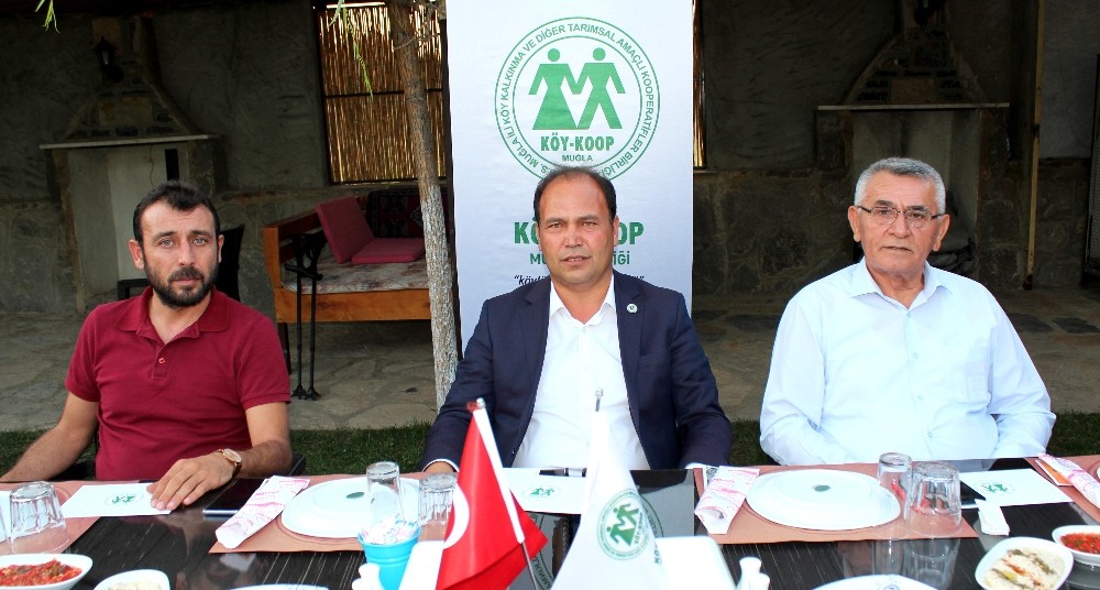 Köy Koop 81 ilde örgütleniyor 