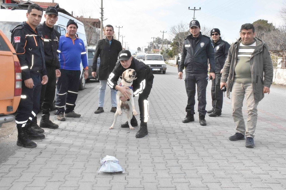 Köyceğiz’de kaybolan İngiliz aranıyor 