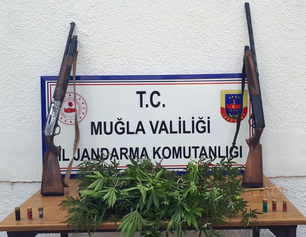 Köyceğiz’de kenevir operasyonu 