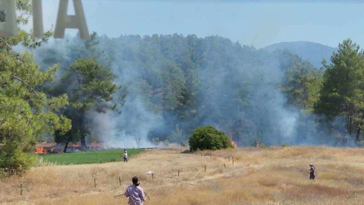 Köyceğiz'de korkutan yangın