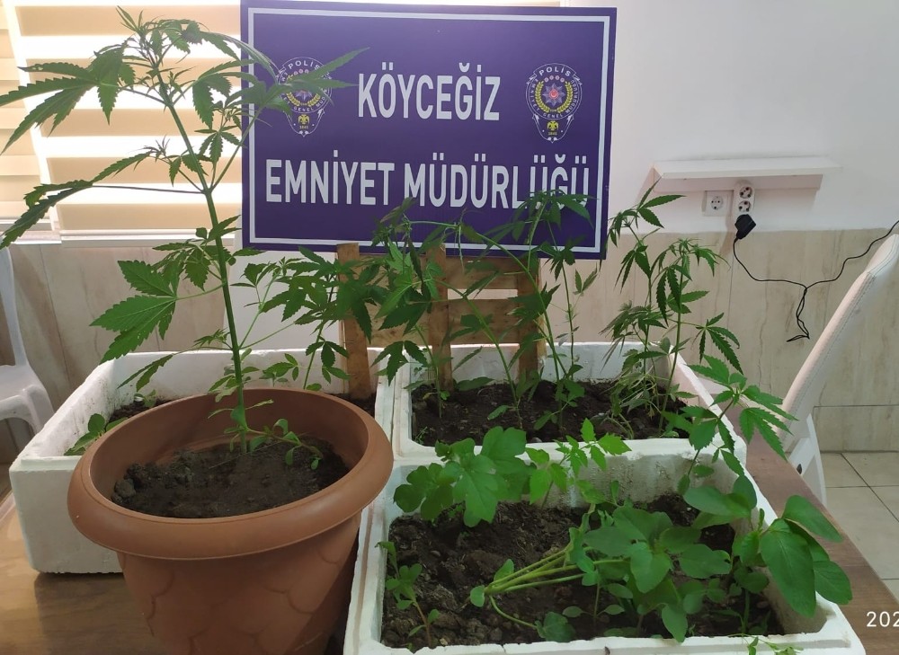 Köyceğiz’de polis uyuşturucuya geçit vermiyor 