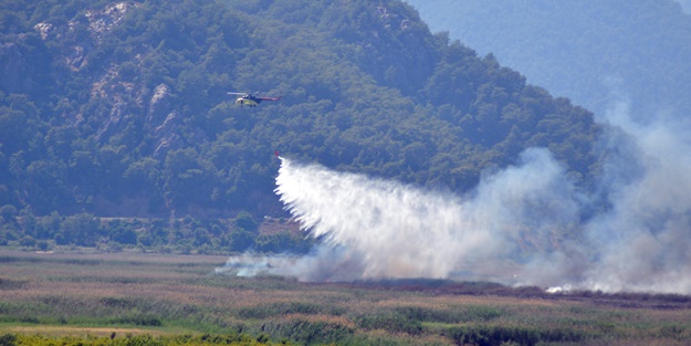 Köyceğiz'de yangın! Havadan müdahale
