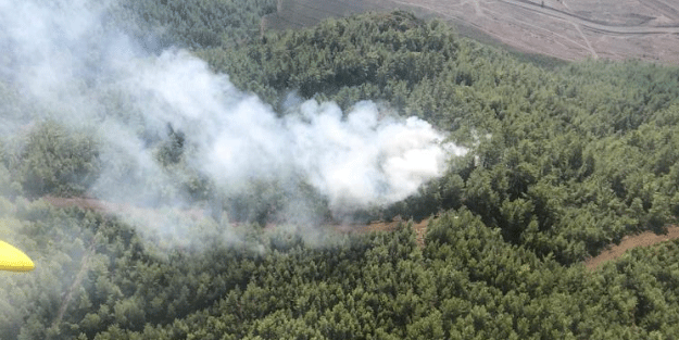 Köyceğiz'deki yangın söndürüldü