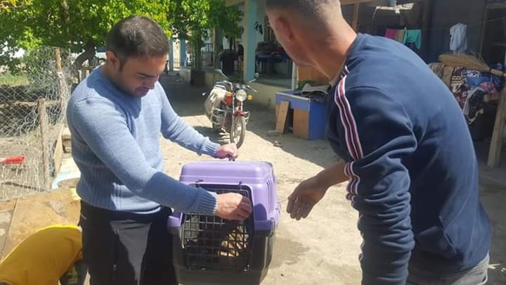 Köyde bulunan şahin ekiplere teslim edildi 