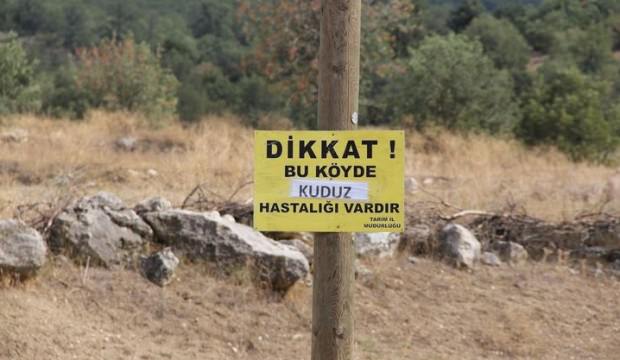 Köyde kuduz korkusu! Herkese aşı yapıldı