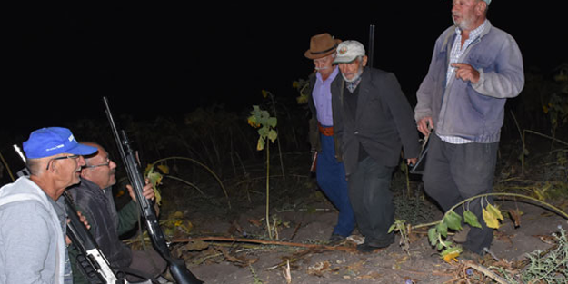 Köydeki ihtiyar delikanlılar, elde tüfek domuz nöbetinde!