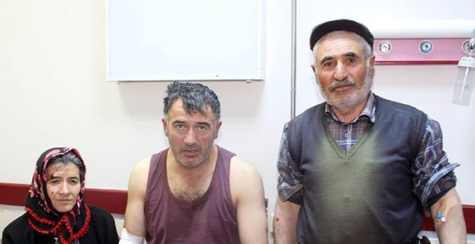 Köye inen aç kurt dehşeti: 4 yaralı