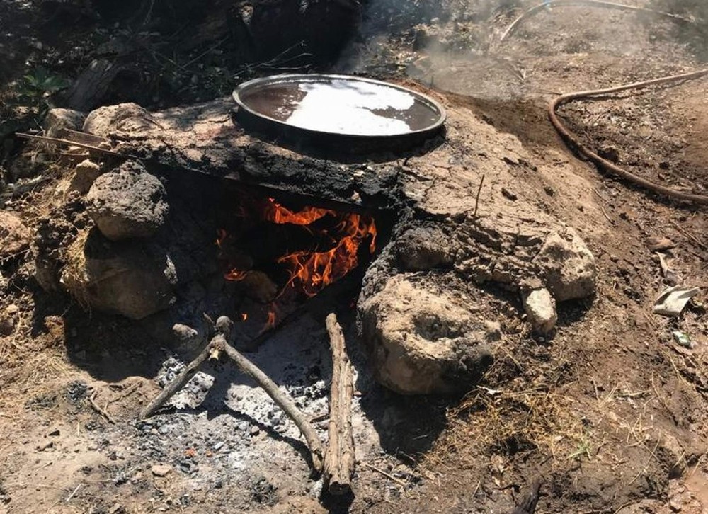 Köylere dönüşün başlamasıyla vatandaşlar pekmez yapımına başladı 