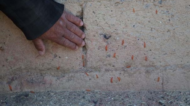 Köylüler çözüm bulamadı