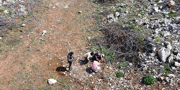 Köylüler her yerde onu arıyor! 5 gram altın değerinde, bulan zengin oluyor
