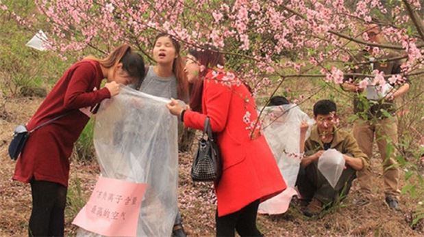 Köylüler şehirlilere ‘‘temiz hava’’ satıyor